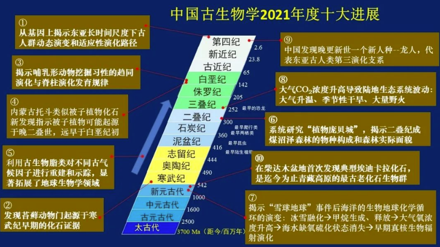 江苏三项成果入选2021年度中国古生物学十大进展