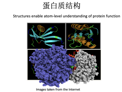 许锦波未来论坛分享：AI蛋白质预测及设计未来有