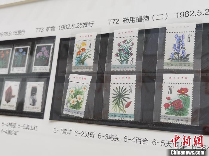 甘肃高校展出近200套邮票 学生方寸间学习中医药文化